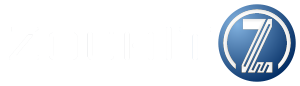 light logo